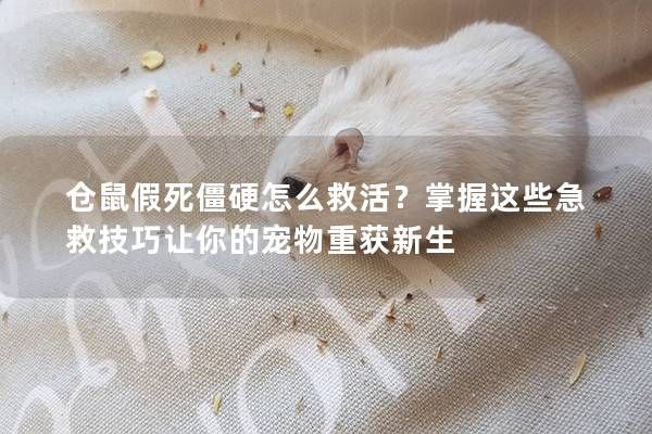 仓鼠假死僵硬怎么救活?掌握这些急救技巧让你的宠物重获新生