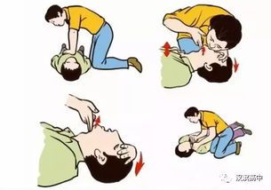 宠物拒食水，掌握急救技巧！