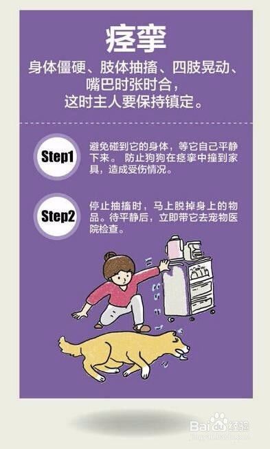 宠物急救知识，新科普来袭！