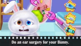 宠物急救知识，新科普来袭！