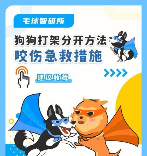 如何急救烫伤的宠物狗狗？