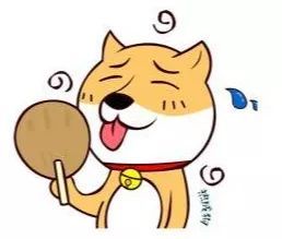 宠物中暑急救指南，宠物主人必看！