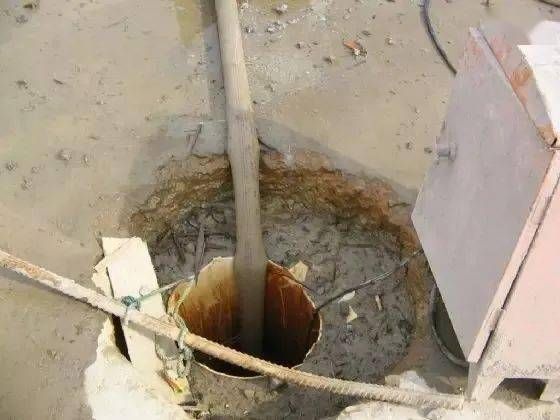 狗狗脚伤处理指南：6招急救技巧