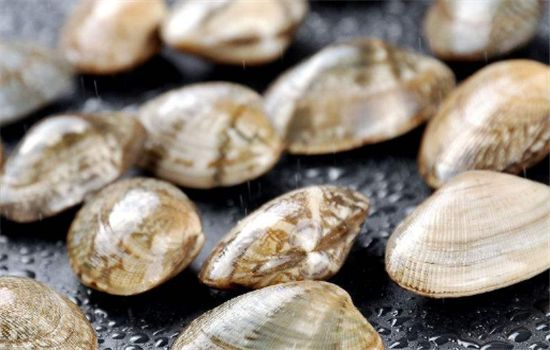 正确清洗花甲的方法