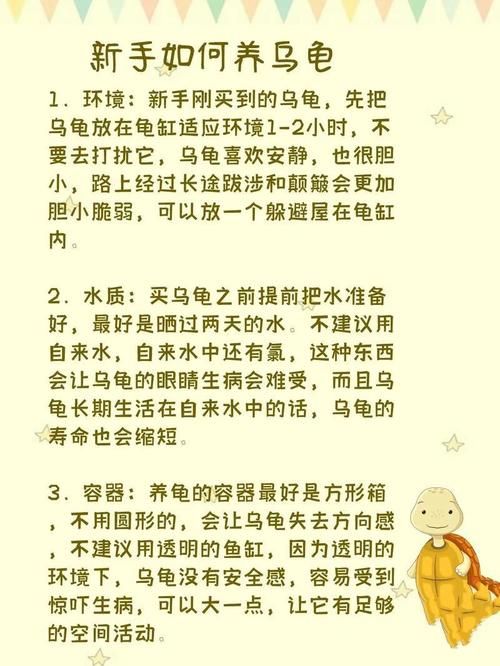 小乌龟怎么挑选(乌龟挑选方法)