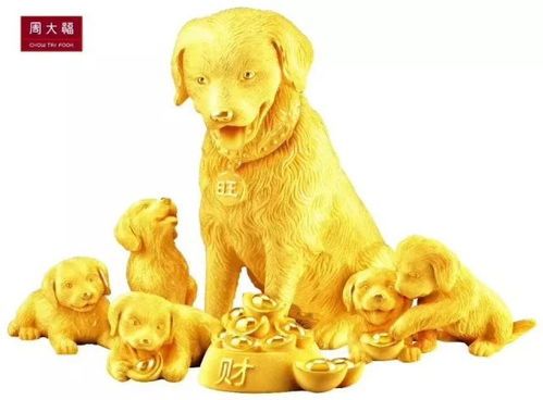 新手必看：养斯塔福犬的黄金指南！