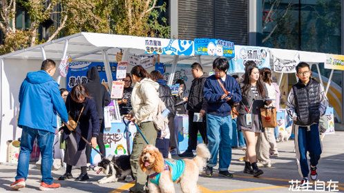 济南首届宠物文化生活节圆满收官，共创宠物友好新风尚
