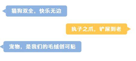 济南即将“绒”化！带上你的宠物搭子，给冬天加点毛绒绒