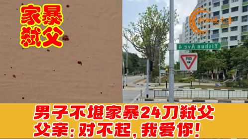 不堪父亲长期家暴，新加坡男子24刀弑父