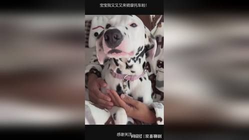 宝宝我又又又来骑摩托车啦！