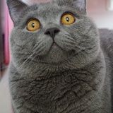 我家有个臭弟弟