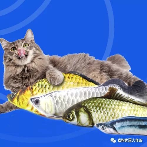 “鱼儿游动，宠物生活指南”