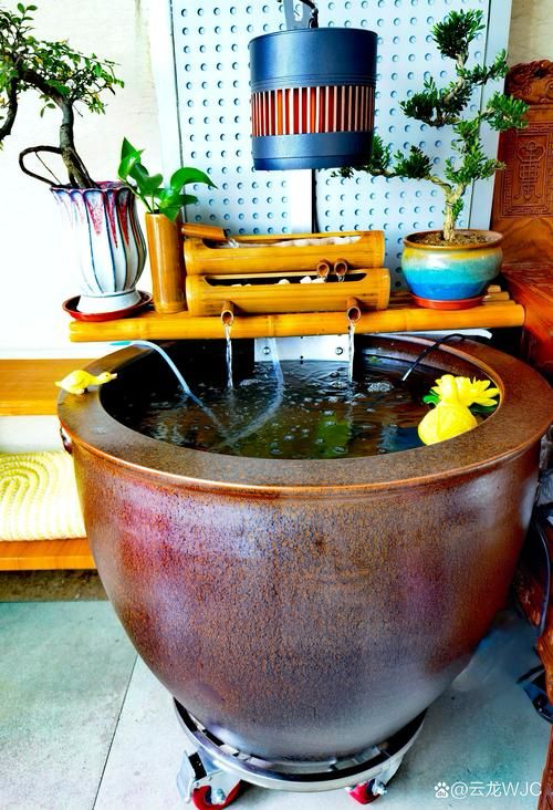 什么鱼缸适合养金鱼(买什么金鱼缸比较好)