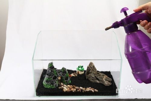 繁殖期鱼缸水草种植指南:水草繁殖期水质管理技巧