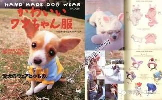 宠物服饰精选，品质生活必备！