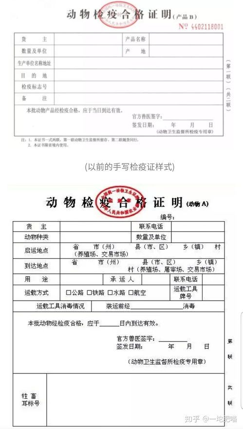 宠物托运费用及必备清单