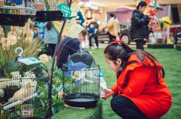 出售香猪租赁 狗熊出租