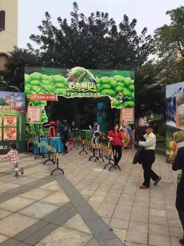 出售香猪租赁 狗熊出租