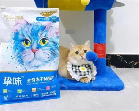 朗诺主食冻干:猫咪的美味选择