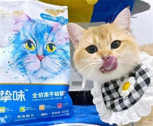 朗诺主食冻干:猫咪的美味选择