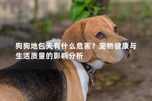 狗狗地包天有什么危害?宠物健康与生活质量的影响分析
