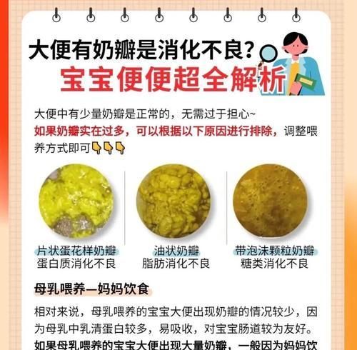 小狗消化不良拉什么屎？（了解小狗消化系统故障的迹象和处理方法）