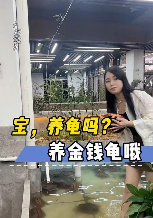 金钱龟（探索金钱龟濒危的原因和保护措施）