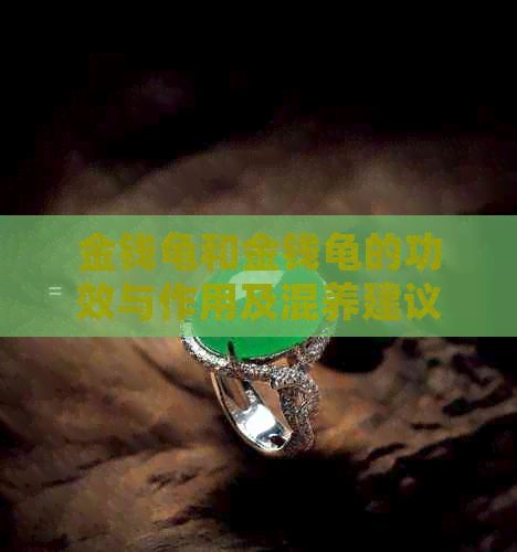 金钱龟和金钱龟的功效与作用及混养建议:金钱龟和金钱龟哪个好