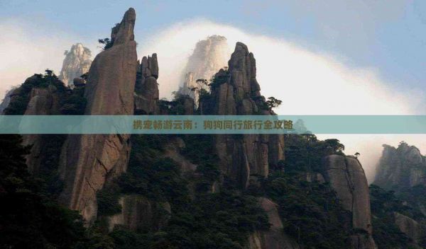 携宠畅游云南:狗狗同行旅行全攻略