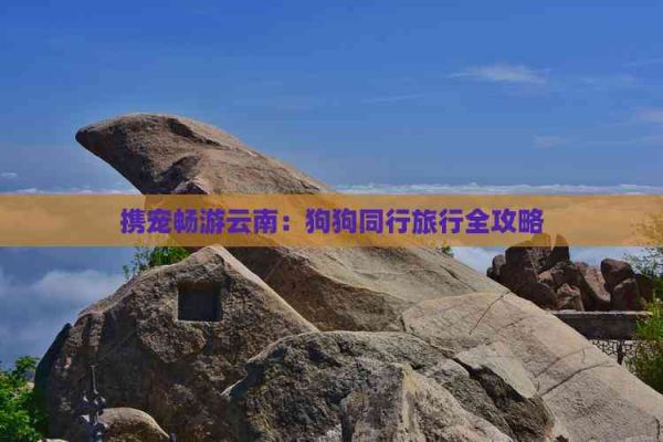 携宠畅游云南:狗狗同行旅行全攻略