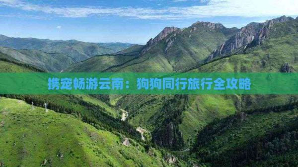 携宠畅游云南:狗狗同行旅行全攻略