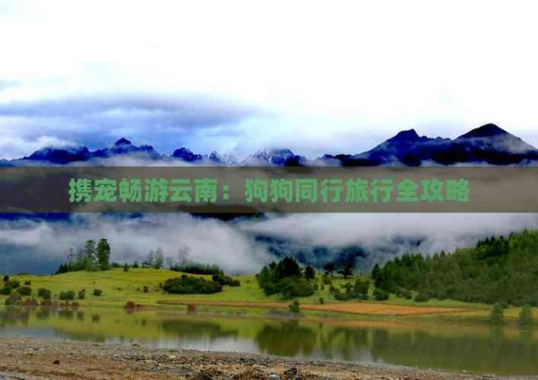 携宠畅游云南:狗狗同行旅行全攻略