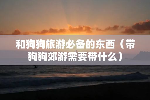 和狗狗旅游必备的东西（带狗狗郊游需要带什么）