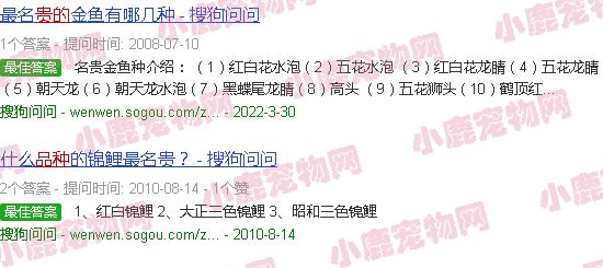 最贵的宠物鱼品种