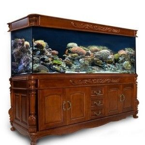 超白鱼缸分类:超白鱼缸的分类及保养 银龙鱼百科 第3张