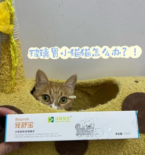 宠物狗肠胃调理的必备药品（为你的爱犬选择适合的药物）