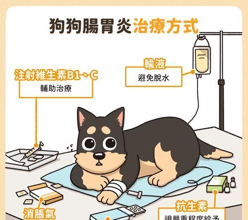 狗狗肠胃炎后的饮食调理（如何选择适合狗狗的食物）
