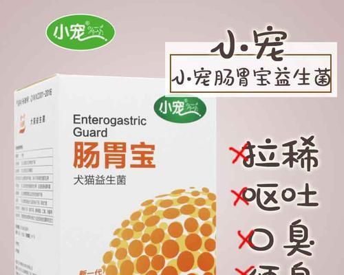 狗狗肠胃炎后的饮食调理（如何选择适合狗狗的食物）