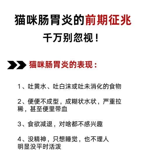 解决猫咪肠胃炎的有效药物及方法（从日常饮食调理到药物治疗，帮助宠物摆脱肠胃炎困扰）