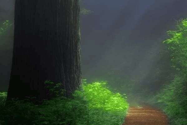 如何调理小型犬肠胃炎呕吐，如何调理小型犬肠胃炎呕吐症状