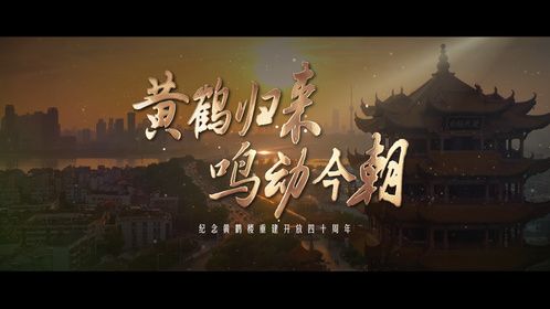 黄鹤归来 鸣动今朝