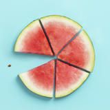 放松史诗宠物氛围音乐视频的预览图