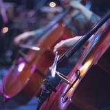 危险的脚步声视频的预览图