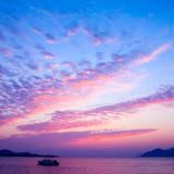 钢琴浪漫宠物氛围音乐视频的预览图