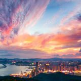 欢快的宠物纪录片配乐视频的预览图