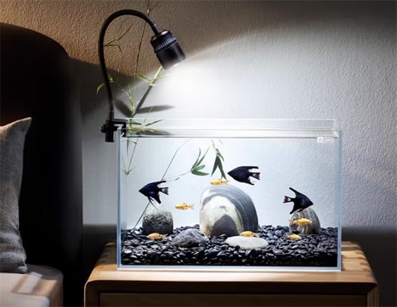 Yee鱼缸是哪个厂家