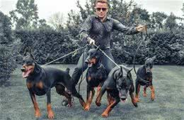 公认最优秀的5大护卫犬，给它一口吃的，就会给你卖命！