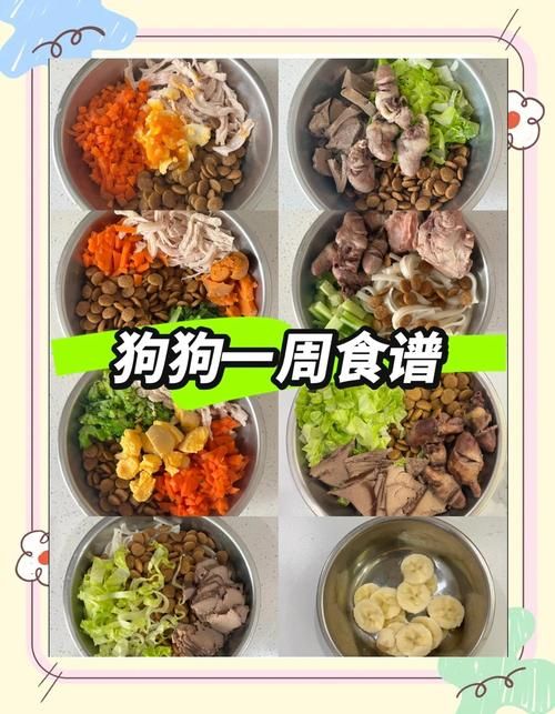 狗狗diy食谱（狗狗的食谱）