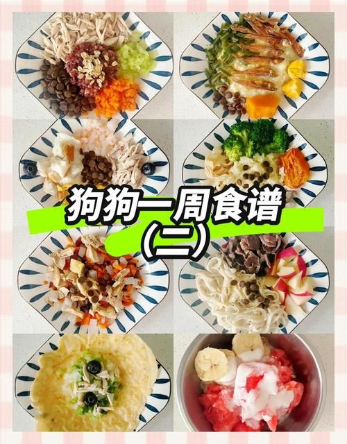 狗狗diy食谱（狗狗的食谱）