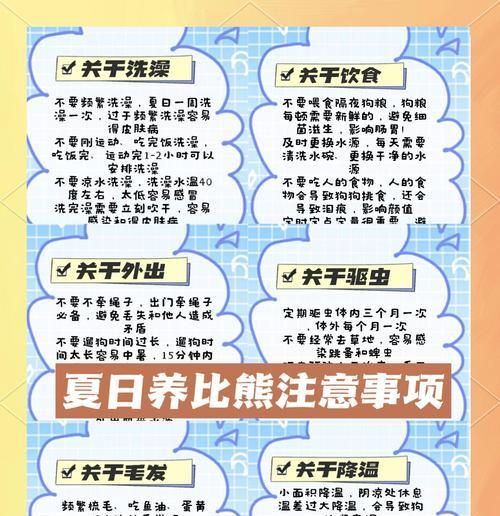 比熊怀孕多久可以洗澡？（孕期比熊洗澡的注意事项与建议）